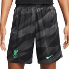 NIKE LIVERPOOL 2023/2024 GOALKEEPER SHORTS - ANTHRACITE/POISON GREEN