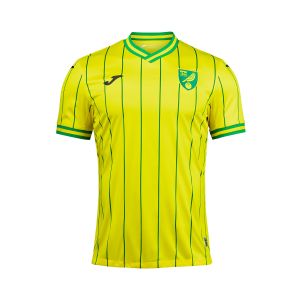 JOMA NORWICH CITY 2022/2023 HOME PLAYER JERSEY - GREEN/WHITE